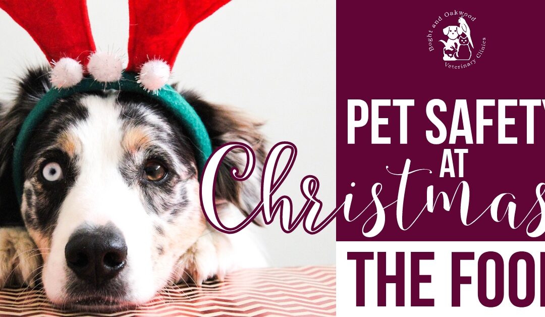 Pet Safety at Christmas: the Food