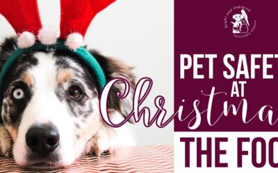 Pet Safety at Christmas: the Food