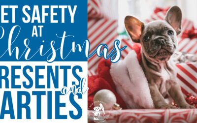 Pet Safety at Christmas: Presents and Parties
