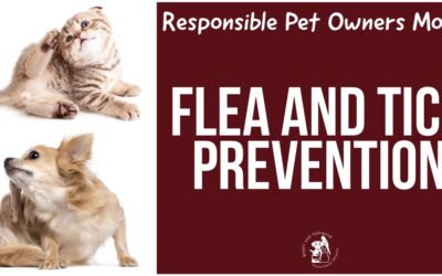 Flea and Tick Prevention