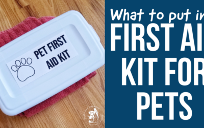 First Aid Kit For Pets