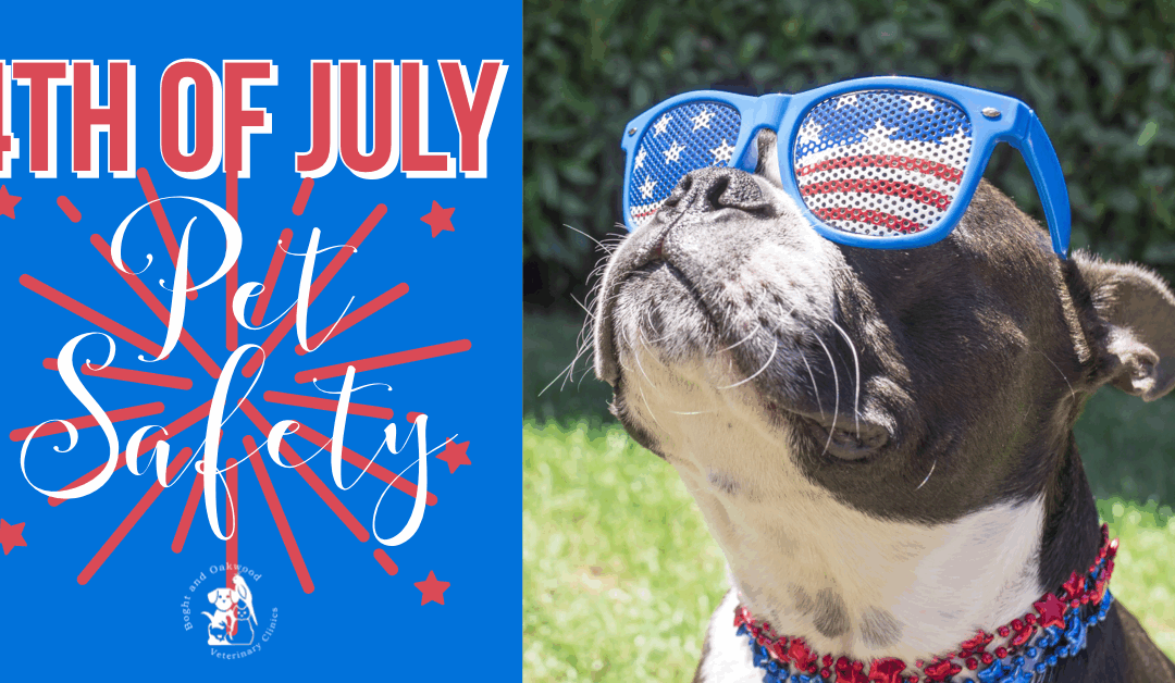 4th of July Pet Safety