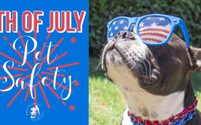 4th of July Pet Safety