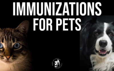 Immunizations For Pets