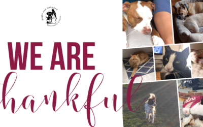 We are Thankful…