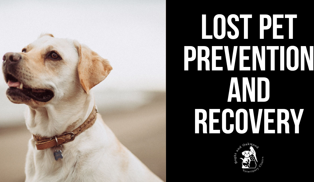 Lost Pet Prevention and Recovery