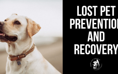 Lost Pet Prevention and Recovery