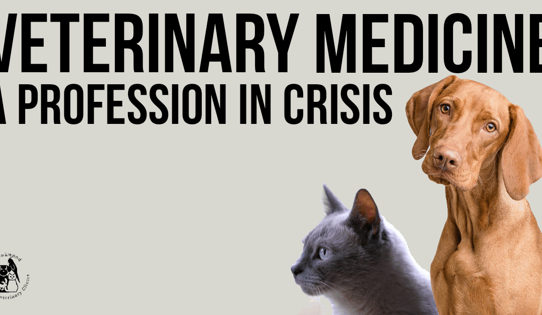 Veterinary Medicine – A Profession in Crisis