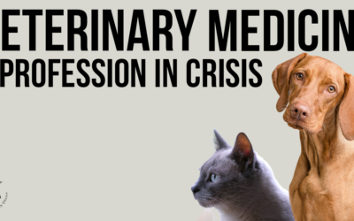 Veterinary Medicine – A Profession in Crisis